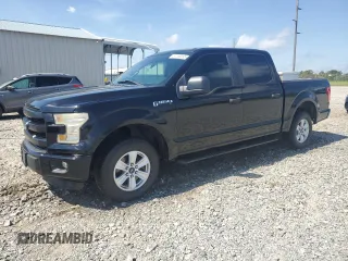 2016 Ford F-150 XLT with VIN 1FTEW1C82GFB62523, listed as a Copart auction lot 57750255 with 182,280 mi miles and Salvage title. Bid and sale history available at DreamBid. Image 1.