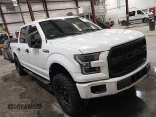 2016 Ford F-150 XLT with VIN 1FTEW1EP3GKE25825, listed as a IAAI auction lot 41254806 with 140,971 mi miles. Bid and sale history available at carsss.com. Image 1.