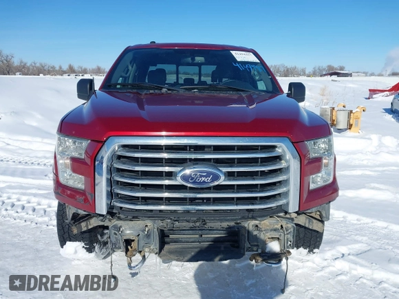 2016 Ford F-150 XLT with VIN 1FTFW1EG1GKD16719, listed as a IAAI auction lot 41494417 with 124,063 mi miles. Bid and sale history available at carsss.com. Image 13.