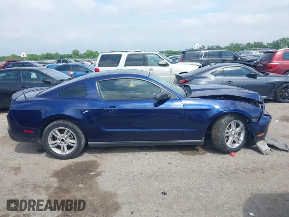 2010 Ford Mustang V6 with VIN 1ZVBP8AN9A5140305, listed as a IAAI auction lot 42171784 with 218,434 mi miles and . Bid and sale history available at DreamBid. Image 13.