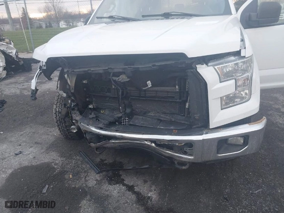 2015 Ford F-150 XLT w/HD Payload Pkg with VIN 1FTFW1EG3FFC39052, listed as a IAAI auction lot 41046847 with 151,061 mi miles. Bid and sale history available at carsss.com. Image 6.