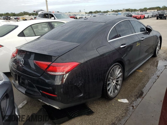 2019 Mercedes-Benz CLS with VIN WDD2J5JB6KA028214, listed as a Copart auction lot 74441954 with 0 mi miles and Salvage Title. Bid and sale history available at carsss.com. Image 6.