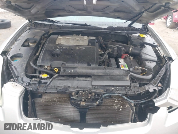 2004 Nissan Maxima SE with VIN 1N4BA41E04C843018, listed as a IAAI auction lot 41781652 with Not provided miles and . Bid and sale history available at DreamBid. Image 10.