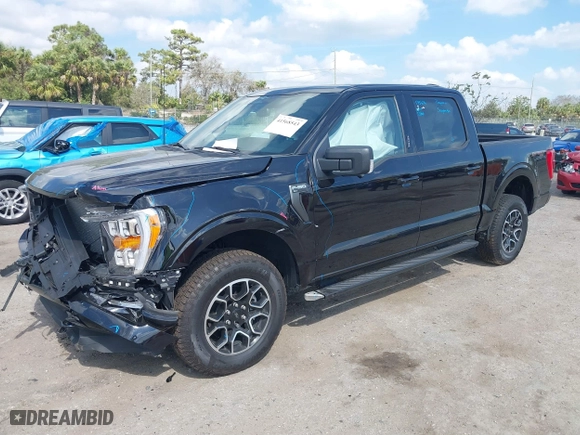 2023 Ford F-150 XL with VIN 1FTEW1EP3PKD05149, listed as a IAAI auction lot 41568543 with 5,594 mi miles. Bid and sale history available at carsss.com. Image 17.