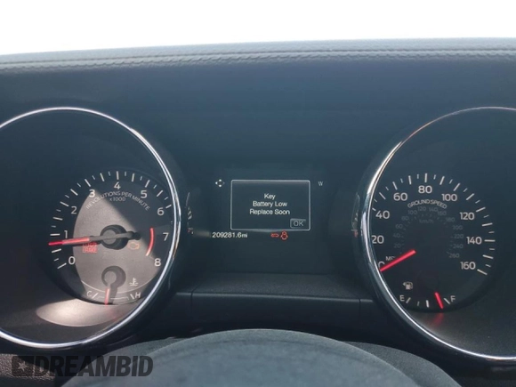 2015 Ford Mustang EcoBoost with VIN 1FA6P8TH3F5317133, listed as a Copart auction lot 50610165 with 209,281 mi miles and Salvage Title. Bid and sale history available at carsss.com. Image 9.