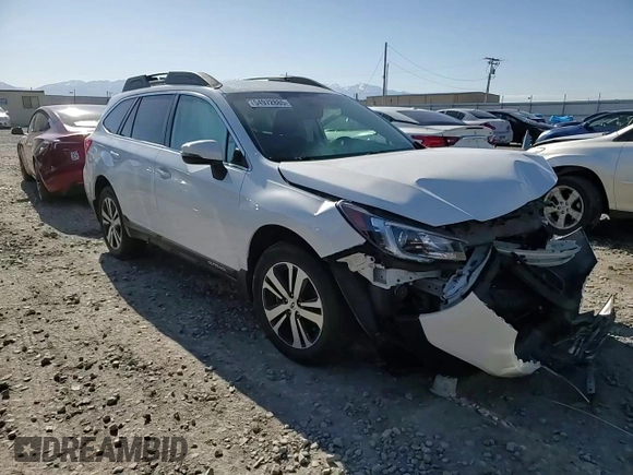 2019 Subaru Outback Limited with VIN 4S4BSAJC0K3257464, listed as a Copart auction lot 54972885 with Not Provided miles and Salvage Title. Bid and sale history available at DreamBid. Image 13.
