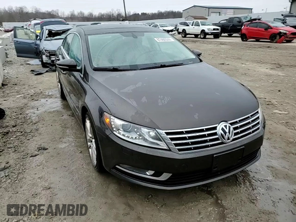 2013 Volkswagen CC Lux with VIN WVWRN7AN6DE523382, listed as a Copart auction lot 87489344 with 128,208 mi miles and Non repairable. Bid and sale history available at DreamBid. Image 14.