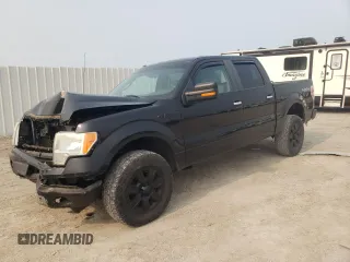 2010 Ford F-150 XL z VIN 1FTEW1E87AFB90421, wystawiony jako Copart lot #59201205 z przebiegiem 151 403 mil mil oraz Szkoda całkowita • Salvage title. Historia ofert i sprzedaży dostępna na DreamBid. Obrazek 1.