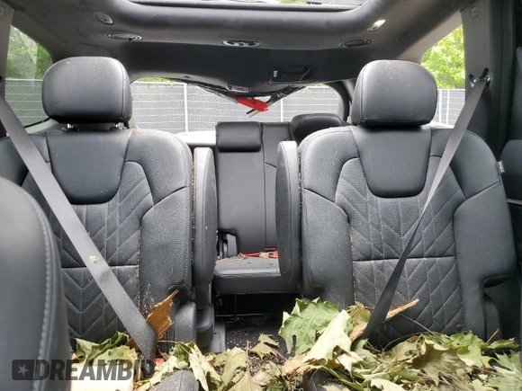 2024 Kia Telluride SX X-Line with VIN 5XYP5DGC1RG494352, listed as a Copart auction lot 58260515 with 25,538 mi miles and Salvage title. Bid and sale history available at DreamBid. Image 10.