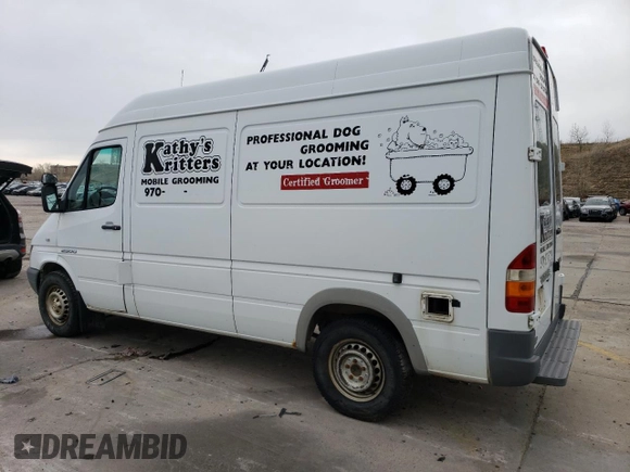 2006 Dodge Sprinter with VIN WD0PD644865963590, listed as a Copart auction lot 48614595 with 141,842 mi miles and Clean Title. Bid and sale history available at DreamBid. Image 2.
