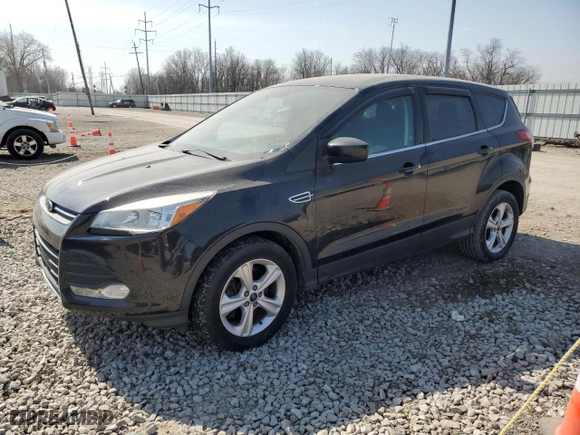 2014 Ford Escape SE with VIN 1FMCU0G95EUB43348, listed as a Copart auction lot 48603175 with 165764 miles and Clean Title. Bid and sale history available at carsss.com. Image 1.
