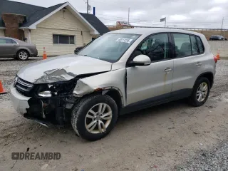 2013 Volkswagen Tiguan S with VIN WVGAV7AXXDW537421, listed as a Copart auction lot 48811255 with 173,833 mi miles and Clean title. Bid and sale history available at DreamBid. Image 1.