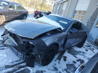 2006 Ford Mustang Standard z VIN 1ZVFT80N565227396, wystawiony jako Copart lot #43061515 z przebiegiem Nie podano mil oraz Szkoda całkowita • Salvage title. Historia ofert i sprzedaży dostępna na DreamBid. Obrazek 1.