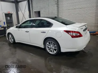 2010 Nissan Maxima SV with VIN 1N4AA5AP3AC861818, listed as a Copart auction lot 60893845 with 164,817 mi miles and Salvage title. Bid and sale history available at DreamBid. Image 2.
