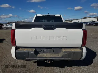 2023 Toyota Tundra SR with VIN 5TFKB5AA5PX021385, listed as a Copart auction lot 80594494 with Not provided miles and Non repairable. Bid and sale history available at DreamBid. Image 6.