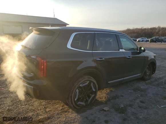 2024 Kia Telluride S with VIN 5XYP6DGC2RG552417, listed as a Copart auction lot 42549815 with 6,536 mi miles and Salvage Title. Bid and sale history available at carsss.com. Image 3.