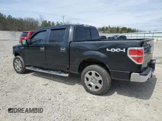 2010 Ford F-150 XL with VIN 1FTFW1EV2AFD23600, listed as a Copart auction lot 54312395 with 250,649 mi miles and Clean Title. Bid and sale history available at carsss.com. Image 2.