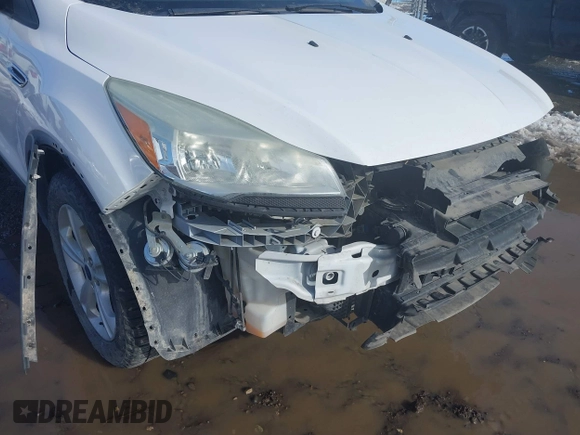2013 Ford Escape SE with VIN 1FMCU9GX2DUD19077, listed as a IAAI auction lot 41578028 with 124,890 mi miles. Bid and sale history available at carsss.com. Image 13.