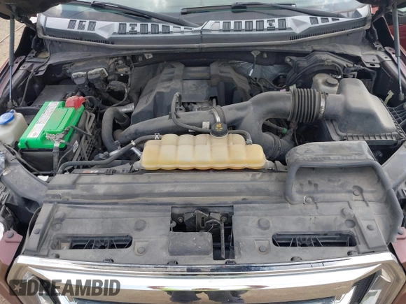 2016 Ford F-150 XLT with VIN 1FTEW1EP6GFC66565, listed as a IAAI auction lot 42388799 with 176,051 mi miles and . Bid and sale history available at DreamBid. Image 10.