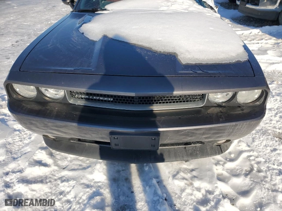 2014 Dodge Challenger SXT with VIN 2C3CDYAG3EH204522, listed as a Copart auction lot 41659465 with 0 mi miles and Salvage Title. Bid and sale history available at carsss.com. Image 11.