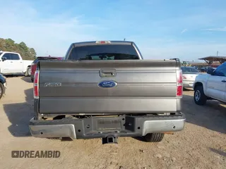 2010 Ford F-150 XL with VIN 1FTEW1C88AFA71456, listed as a IAAI auction lot 40961828 with 219,113 mi miles. Bid and sale history available at carsss.com. Image 16.