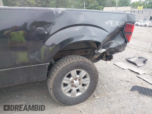 2010 Ford F-150 XL with VIN 1FTEX1E81AFA48403, listed as a IAAI auction lot 42499944 with 215,900 mi miles and . Bid and sale history available at DreamBid. Image 6.