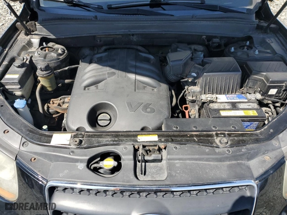 2009 Hyundai Santa Fe SE with VIN 5NMSH13E79H307273, listed as a Copart auction lot 50799225 with 173,807 mi miles and Salvage Title. Bid and sale history available at carsss.com. Image 11.