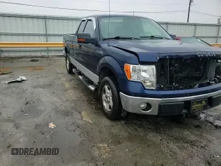 2010 Ford F-150 XL with VIN 1FTEX1C82AFA13498, listed as a Copart auction lot 59487255 with 125,410 mi miles and Salvage title. Bid and sale history available at DreamBid. Image 13.