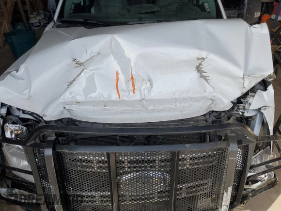2024 Ford F-350 XL с VIN 1FT8W3BT1REE21588, выставлен на аукционе Copart как лот 47617935 с пробегом 11 223 миль миль и Списание • Salvage title. История ставок и продаж доступна на DreamBid. Изображение 13.