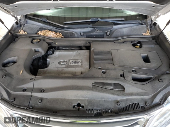 2013 Lexus RX with VIN JTJZB1BA9D2007114, listed as a Copart auction lot 49663965 with 177,499 mi miles and Salvage Title. Bid and sale history available at carsss.com. Image 11.