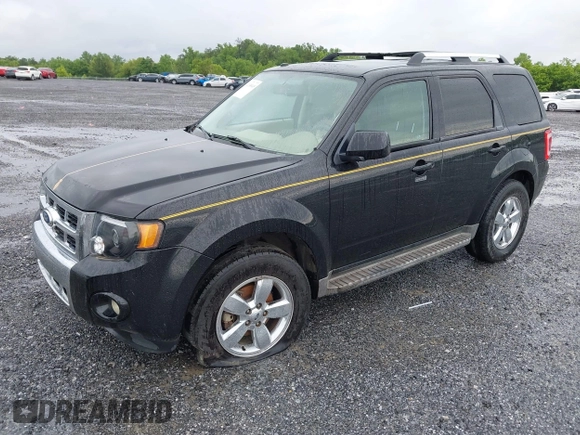 2010 Ford Escape Limited z VIN 1FMCU0EG0AKC63470, wystawiony jako IAAI lot #41198945 z przebiegiem 198 301 mil mil oraz . Historia ofert i sprzedaży dostępna na DreamBid. Obrazek 2.