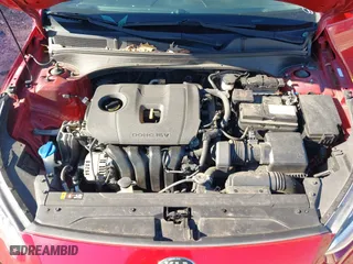 2019 Kia Forte LXS with VIN 3KPF24AD7KE058999, listed as a IAAI auction lot 41599213 with 113,551 mi miles. Bid and sale history available at carsss.com. Image 10.
