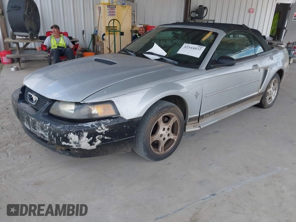 2002 Ford Mustang Deluxe with VIN 1FAFP444X2F175257, listed as a IAAI auction lot 42544832 with Not provided miles and . Bid and sale history available at DreamBid. Image 2.