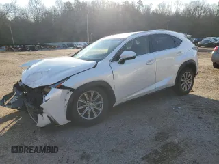 2017 Lexus NX with VIN JTJYARBZ0H2060406, listed as a Copart auction lot 88047045 with 123,643 mi miles and Salvage Title. Bid and sale history available at carsss.com. Image 1.