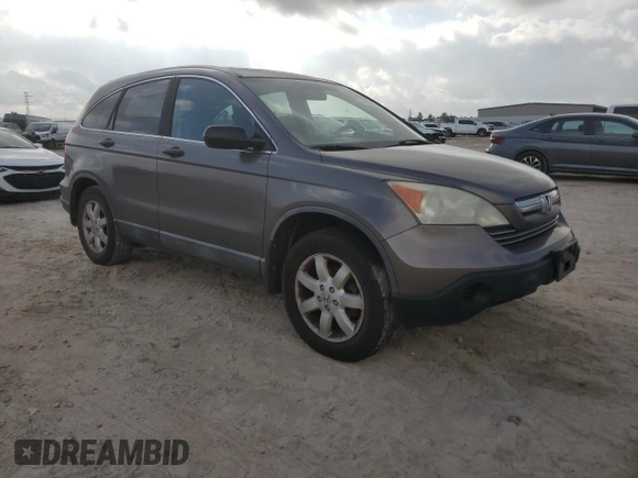 2009 Honda CR-V EX with VIN 5J6RE48569L012210, listed as a Copart auction lot 44031145 with 289,356 mi miles and Salvage Title. Bid and sale history available at carsss.com. Image 4.