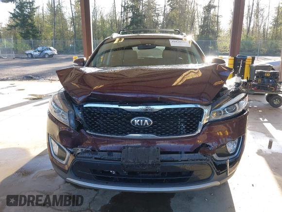 2016 Kia Sorento EX with VIN 5XYPHDA57GG181613, listed as a IAAI auction lot 42020545 with 173,439 mi miles. Bid and sale history available at carsss.com. Image 12.