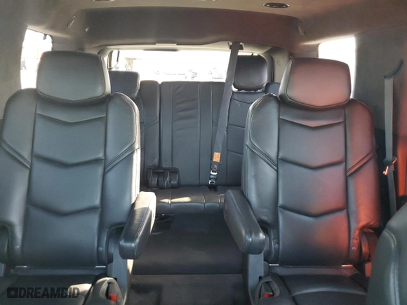 2020 Cadillac Escalade Platinum with VIN 1GYS3DKJ6LR232030, listed as a Copart auction lot 79781614 with 76,209 mi miles and Non Repairable. Bid and sale history available at carsss.com. Image 10.