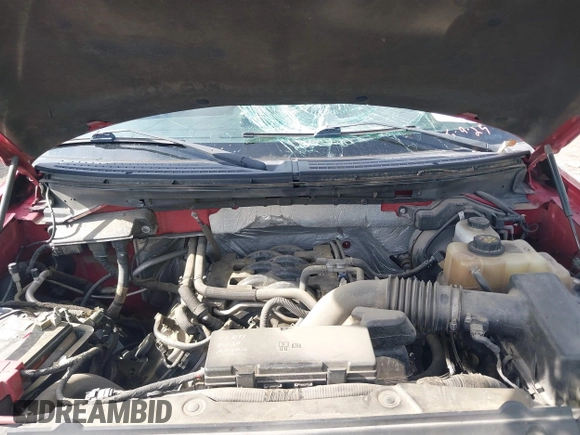 2011 Ford F-150 XL с VIN 1FTFW1EF9BFB51401, выставлен на аукционе IAAI как лот 42210281 с пробегом 175 272 миль миль и . История ставок и продаж доступна на DreamBid. Изображение 10.