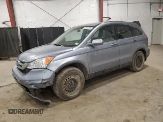 2010 Honda CR-V EX-L with VIN JHLRE4H73AC013054, listed as a Copart auction lot 50491595 with 123,121 mi miles and Salvage Title. Bid and sale history available at carsss.com. Image 1.
