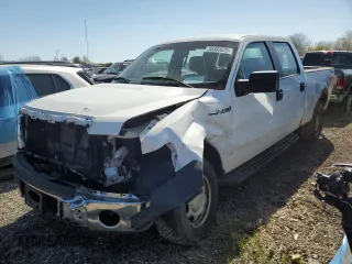 2013 Ford F-150 XL с VIN 1FTFW1EF8DKF67899, выставлен на аукционе Copart как лот 55303025 с пробегом 310 505 миль миль и Списание • Salvage title. История ставок и продаж доступна на DreamBid. Изображение 1.