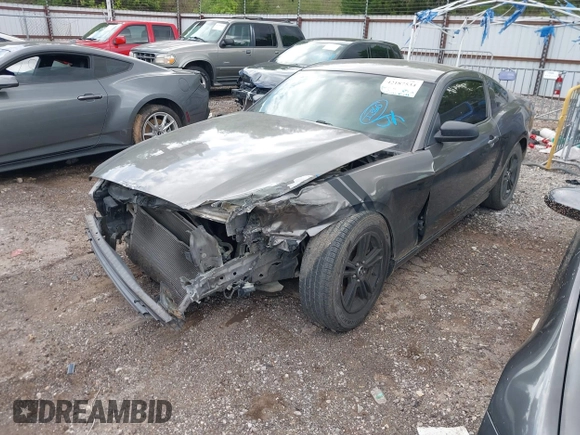2014 Ford Mustang V6 с VIN 1ZVBP8AM7E5287185, выставлен на аукционе IAAI как лот 42187534 с пробегом 165 355 миль миль и . История ставок и продаж доступна на DreamBid. Изображение 17.