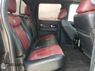 2010 Ford F-150 with VIN 1FTEW1CV2AFA87688, listed as a Copart auction lot 55324715 with 262,569 mi miles and Clean title. Bid and sale history available at DreamBid. Image 10.