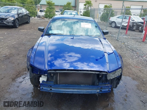 2013 Ford Mustang V6 with VIN 1ZVBP8AM4D5227735, listed as a IAAI auction lot 42395404 with 133,488 mi miles and . Bid and sale history available at DreamBid. Image 6.
