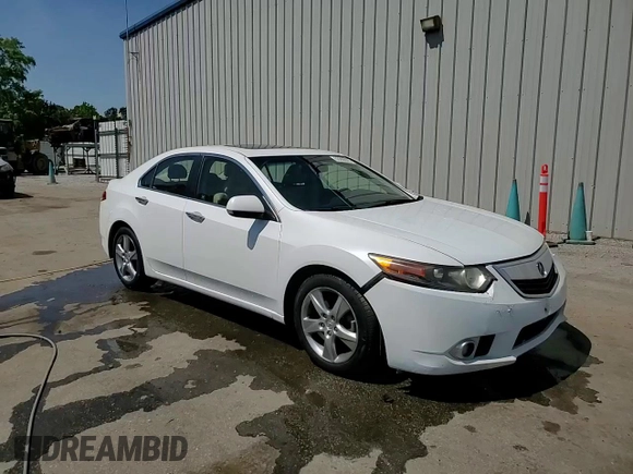 2013 Acura TSX with VIN JH4CU2F46DC012423, listed as a Copart auction lot 53288625 with 168,982 mi miles and Salvage title. Bid and sale history available at DreamBid. Image 13.