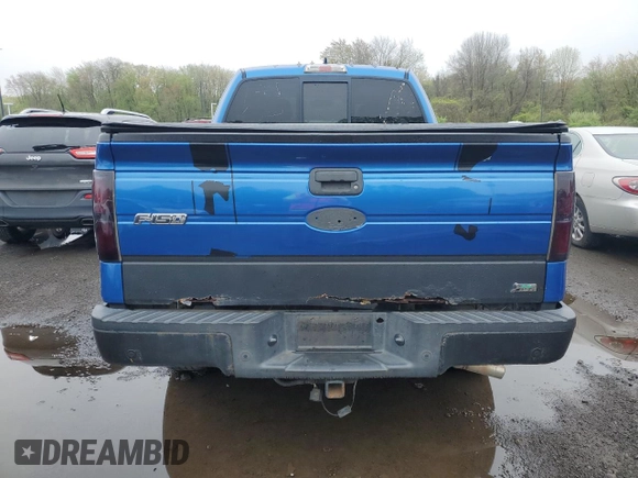 2010 Ford F-150 XL with VIN 1FTFX1EV3AFC01745, listed as a Copart auction lot 55466205 with 125,836 mi miles and Clean Title. Bid and sale history available at carsss.com. Image 6.