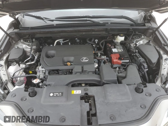 2022 Lexus NX with VIN 2T2ADCAZXNC001110, listed as a Copart auction lot 49154505 with 2,623 mi miles and Salvage Title. Bid and sale history available at carsss.com. Image 14.