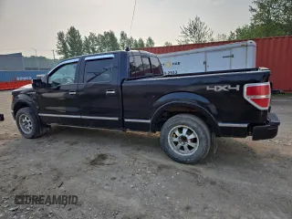 2009 Ford F-150 XL with VIN 1FTPW14V29FB29022, listed as a Copart auction lot 59518745 with 225,701 mi miles and Salvage title. Bid and sale history available at DreamBid. Image 2.