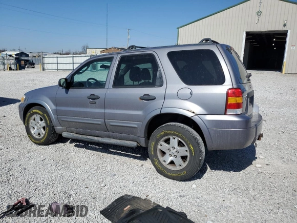 2007 Ford Escape XLT с VIN 1FMYU93117KA75929, выставлен на аукционе Copart как лот 48467515 с пробегом 156 386 миль миль и Списание • Salvage title. История ставок и продаж доступна на DreamBid. Изображение 2.
