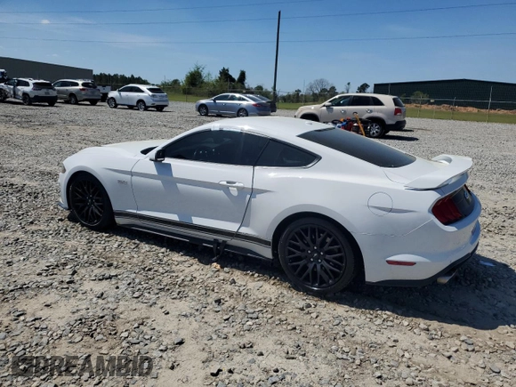 2019 Ford Mustang GT with VIN 1FA6P8CF0K5166163, listed as a Copart auction lot 51006725 with 34,748 mi miles and Salvage title. Bid and sale history available at DreamBid. Image 2.