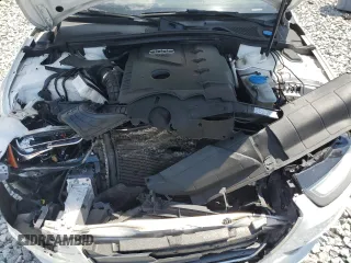 2013 Audi A4 Premium с VIN WAUAFAFL7DA187129, выставлен на аукционе Copart как лот 52419175 с пробегом 144 117 миль миль и Списание • Salvage title. История ставок и продаж доступна на DreamBid. Изображение 11.